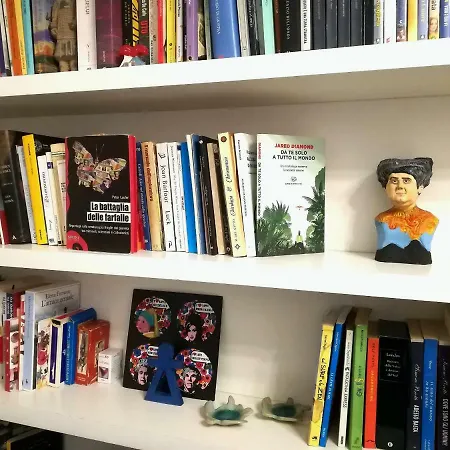 Arte E Musei